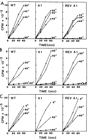 FIG.4.functionforfractions,enzyme,(C)30,mixtures)Thermal inactivation of WT, Al, and revertant Al (REV Al) transcribing cores, enzyme fractions, and template fractionsasa of temperature