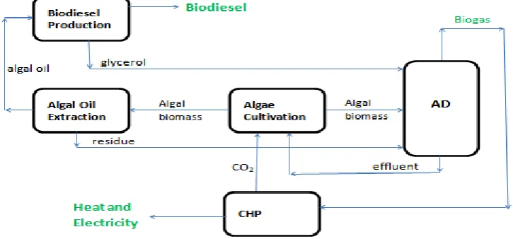 Figure 1: Integrated Algae-biofuels Systems for Bioenergy Production 
