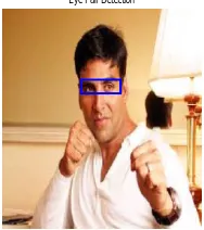 Figure 16 shows the eye pairs detected using this method. A zoomed image of eye pair is shown in figure 17