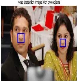 Fig 20:  Nose detection image with ten objects 
