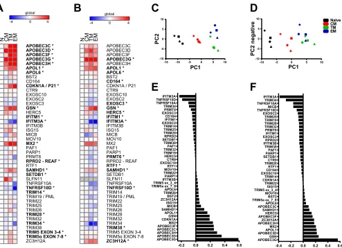 FIG 1 Conﬁrmed and putative restriction factors exhibit similar patterns of expression in peripheral blood and jejunum CD4� T cell memory subsets and aredynamically modulated by stimulation