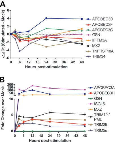FIG 2 Expression of conﬁrmed and putative restriction factors is dynamically modulated by CD3/CD28data obtained using an assay speciﬁc for theand type I IFN stimulation