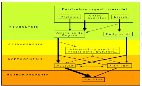 Figure 3.1: Flow chart of anaerobic digestion 