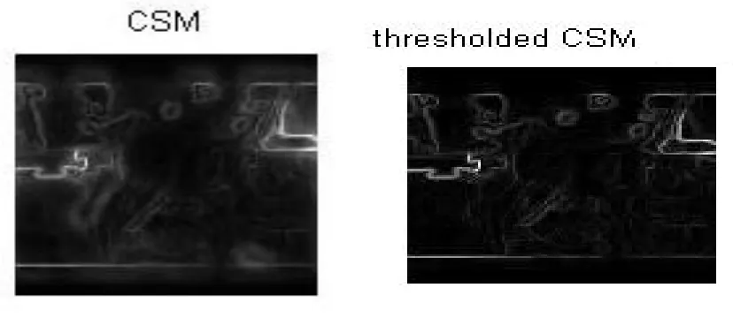 Fig : Depth image  