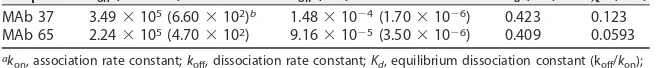 FIG 1 MAb 37 and MAb 65 recognize a similar epitope in M2e and bind with similar afﬁnities to M2e and M2