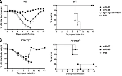 FIG 4 M2e-speciﬁc IgG2a protects better than M2e-speciﬁc IgG1, and protection depends on FcRmouse-adapted X47 virus