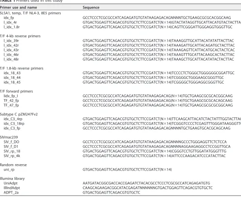 TABLE 1 Primers used in this study