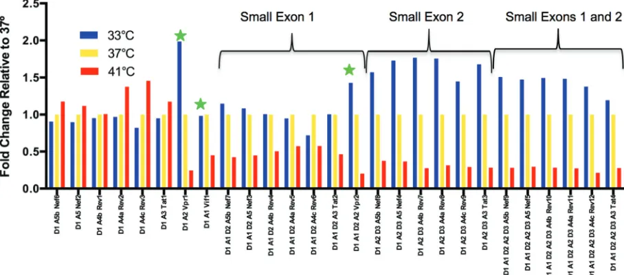 FIG 3 Temperature-dependent splicing regulation. Cells were infected with HIV-1 strain NL4-3, and after several days the culture was divided andTheplaced at the indicated temperatures for the last 6 h