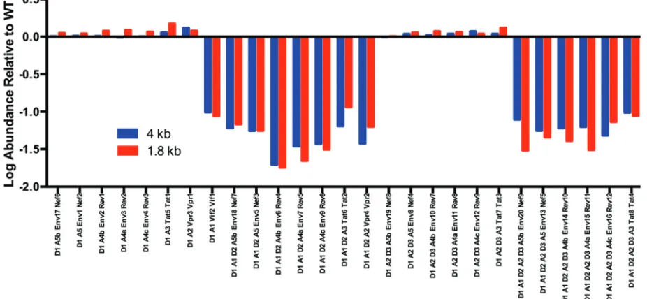 FIG 4 Effects of SLSA1 structural mutations on splicing. The y axis is a log scale of the fold change of splice type abundance of SLSA1 mutantrelative to WT NL4-3; the x axis shows the pattern of splice donors and acceptors and the transcript type in the 4