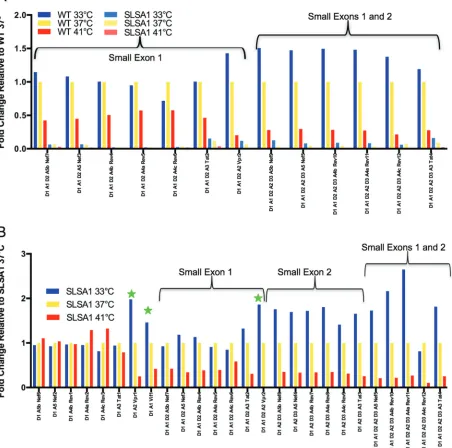 FIG 5 Combined effects of temperature and SLSA1 mutation. (A) The histogram shows the ratio of the percentage of each 1.8-kb transcript thatutilizes A1 relative to the 37°C WT sample