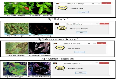 Fig. 2 Healthy Leaf 
