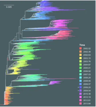 FIG 3 Within-host NJ phylogeny of subject 061. Shown is the NJ tree of the HCV E1E2 genomic region(1,680 nt) of subject 061, reconstructed with all CCS reads from all 18 time points