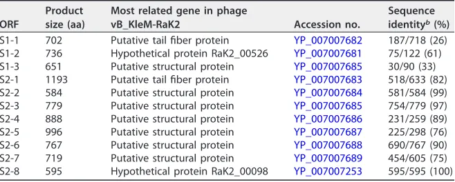TABLE 1 Putative tail ﬁbers/spikes/capsule depolymerases of phage K64-1a