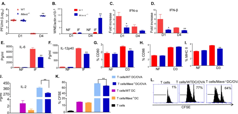 FIG 5 WNV NS4B-P38G infection in DCs. WT andtransgenic mice were cocultured with DCs from WNV-NS4B-P38G mutant-infected WT or Mavs�/� DCs were infected with WNV NS4B-P38G