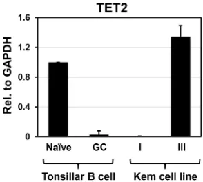 FIG 4 GC B cells have less 5hmC, and more 5mC, than B cells with an ABC phenotype. Global levels of5hmC-modiﬁed and 5mC-modiﬁed DNA in EBV� BL cell lines with a type III EBV latency (TET2�, ABC)versus type I EBV latency (TET2�, GC) (A) or EBV-negative DLBC