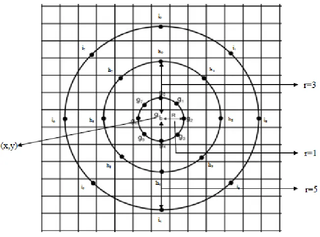 Figure I:  u (u=8) equally spaced intersected pixels on the perimeter of each circle of radius r = 1, r=3 and r=5