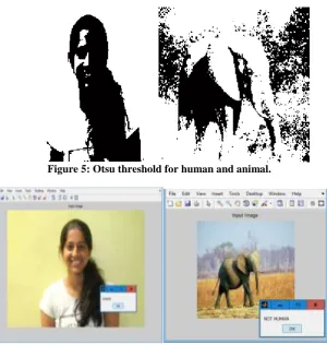 Figure 5: Otsu threshold for human and animal.  