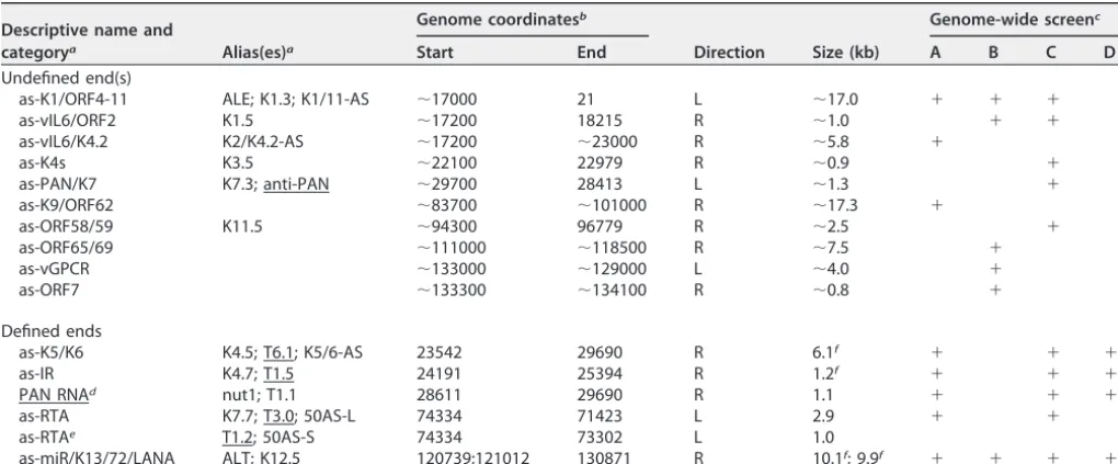 TABLE 1 Potential lncRNAs in KSHV