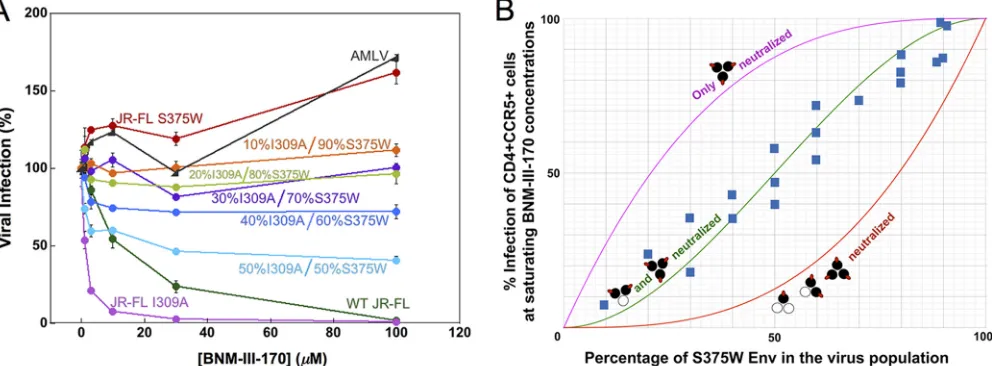 FIG 3 Inhibition of viruses with mixed Env variants by a CD4mc. Recombinant HIV-1 containing different ratios of the I309A mutant Env and the S375W mutant