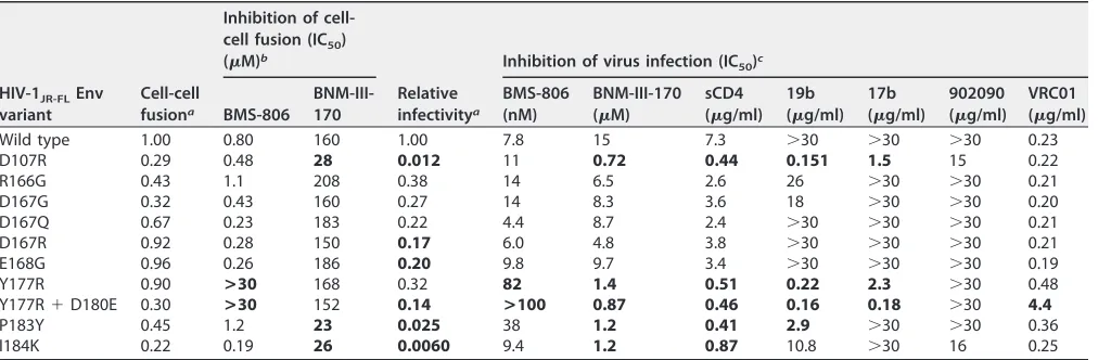 TABLE 2 Phenotypes of HIV-1JR-FL Env mutants