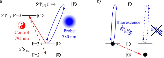 Fig. 1. a) Simpliﬁed energy level scheme of Rb85 showing spectroscopic notation. D1 andD2 transitions are shown in red and blue, respectively