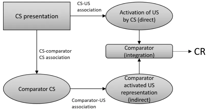 Fig. 1.2 The comparator hypothesis of Miller & Matzel (1988) postulates that the presentation of a CSinvokes both a direct US representation, and an indirect activation of the US representation throughcomparators