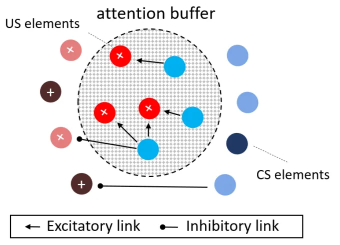 Fig. 1.7 The fixed-capacity attentional buffer of the Harris (2006) model. Elements compete to enterthe buffer, with those with a higher weight doing so more readily