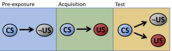 Fig. 1.9 (Hall and Rodriguez, 2010) postulates that pre-exposure induces the formation of a CS−¬USlink, that subsequently interferes with the CS-US link formed during acquisition.