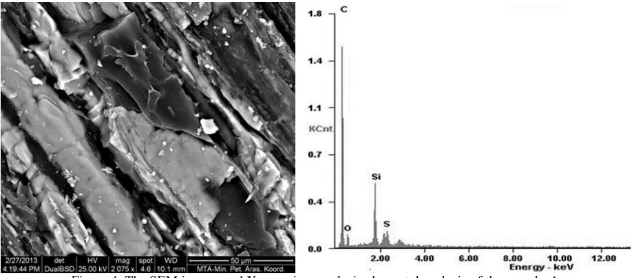 Figure 4. The SEM images and X-ray micro analysis elemental analysis of the sample-A   