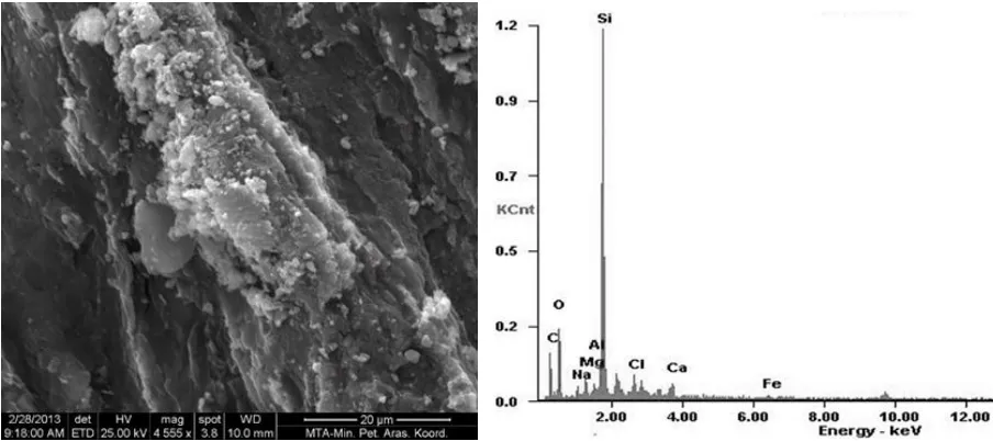 Table 3. Micro analysis elemental analysis of the sample-C Element Wt % At % K-Ratio Z 