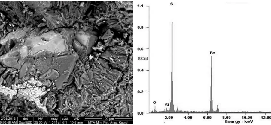 Table 6. Micro analysis elemental analysis of the sample-F Element K-Z A F 