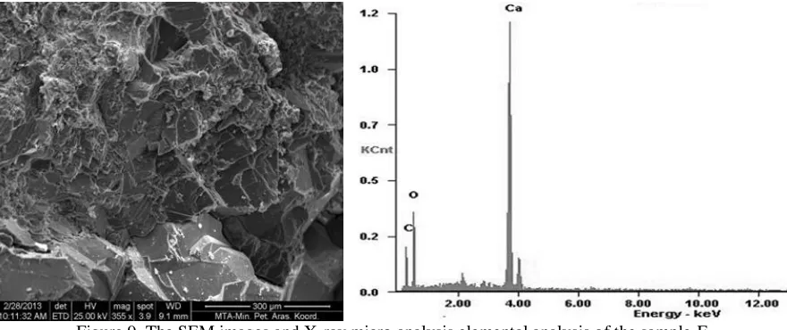 Figure 9. The SEM images and X-ray micro analysis elemental analysis of the sample-F  
