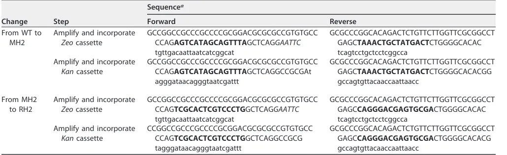 TABLE 2 Primers used to construct MH2 and RH2 BACs