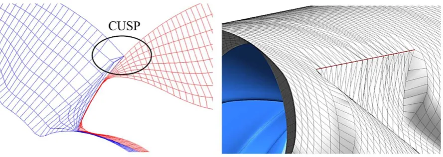 Figure 3 Nodes merged at the CUSP point to capture blow-hole area in a RC type grid 