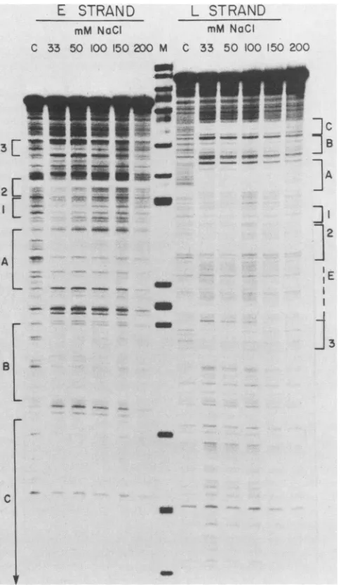 FIG. 7.binding.differentofwaslabeledcontrolabsenceenzymesamplestion200 partially Effect of NaCl concentration on large T antigen DNA The effect of NaCl concentration on large T antigen binding determined by incubating 1 x 10-' to 2 x 10' pmol of 5'-32P- DN