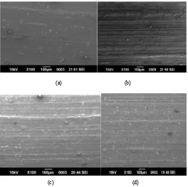 Figure 5. (a) SEM of Silicon rubber ( without swelling) 