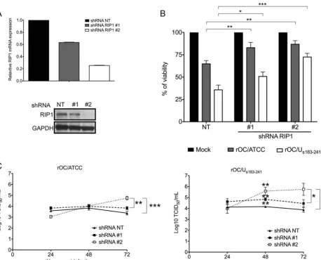 FIG 8 RIP1 is involved in HCoV-OC43-induced LA-N-5 cell death and limits production of infectious virus