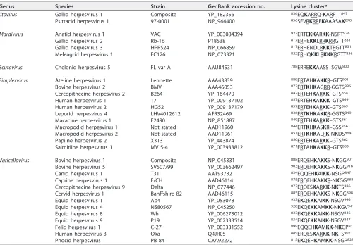 TABLE 1 Amino acid sequences that align with the VZV gBcyt lysine cluster for all species in the ﬁve genera of the subfamilyAlphaherpesvirinae