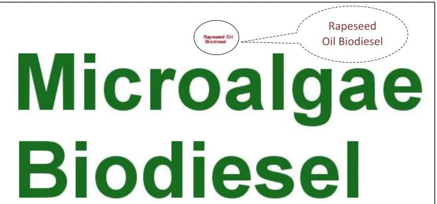 Figure 1: Comparison between Rapeseed Oil and Microalgae Biodiesel   
