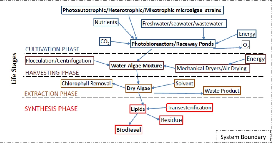 Figure 2: Life stages for biodiesel production from microalgae 