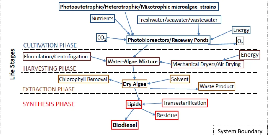 Figure 12: Example life stages for biodiesel production  
