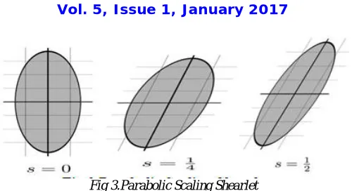 Fig 3.Parabolic Scaling Shearlet 