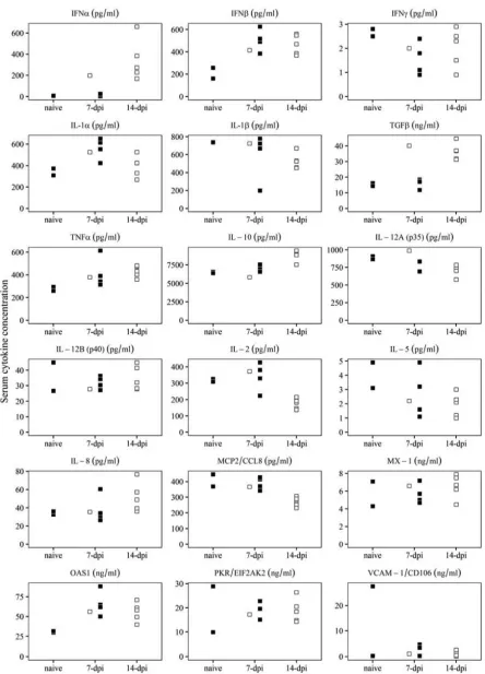 FIG 7 Evaluation of systemic levels of different host cytokines at the time of challenge, either 7 or 14 days postinfection with ASFV-G-Δ9GL/ΔUK