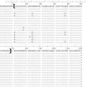 FIG 1 Amino acid sequence alignment of protein products of 9GL (B119L) and UK (DP96R) from different ASFV isolates