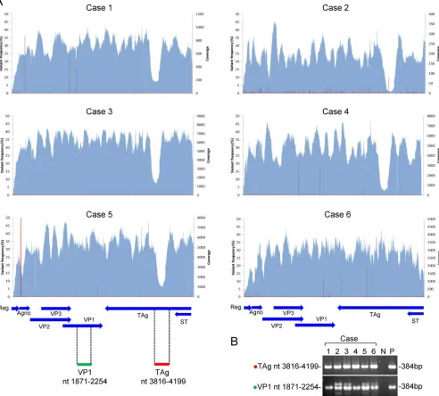 FIG 2 Coverage and variant frequencies in the JCV genome determined by NGS. (A) Coverage and variant frequencies
