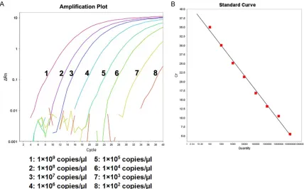 Figure 1. Amplification plot and standard curve of RT-AS-LNA-qPCR for rtA181. A. The concentration from left to (right were 1×109 copies/μl to 1×102 copies/μl, respectively