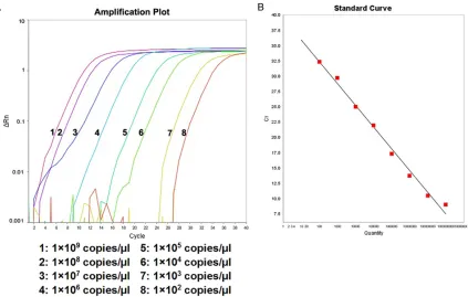 Figure 3. Amplification plot and standard curve of RT-AS-LNA-qPCR for rtN236. A. The concentration from left to (right were 1×109 copies/μl to 1×102 copies/μl, respectively