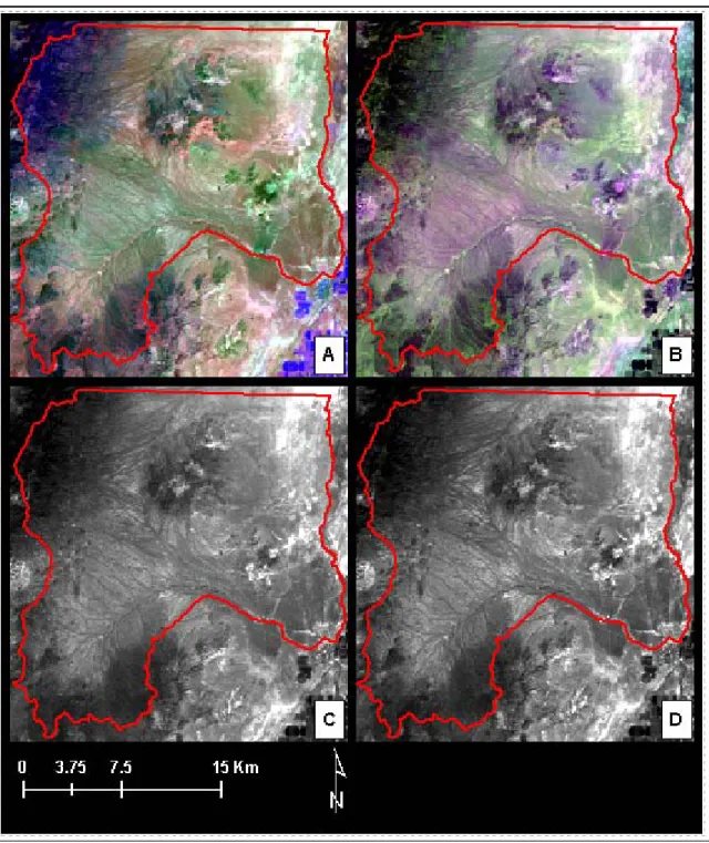 Figure 5.  Landsat 7 ETM+ imagery. A: False color composite of bands 5 (red), 2 (green),  4 (blue); B: False color composite of bands 3 (red), 7 (green), 1 (blue); C: band 1; D: 