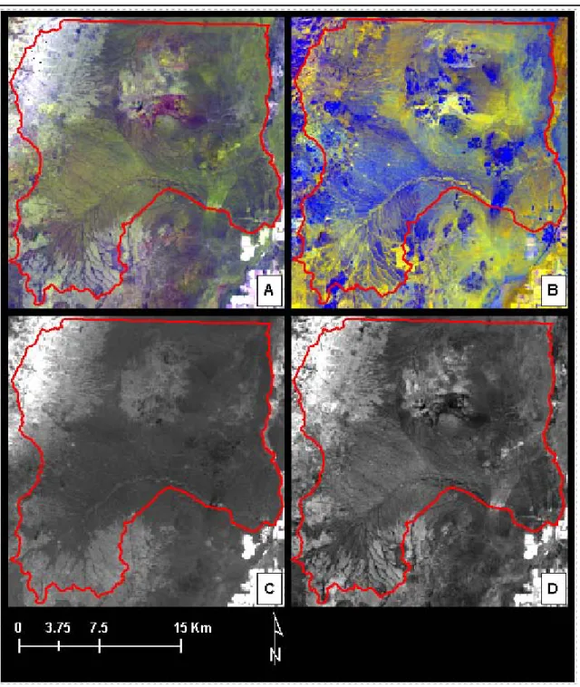 Figure 7.  Normalized difference ratios of Landsat 7 ETM+ data. A: False color  composite of ratios (4-7)/(4+7) (red), (4-5)/(4+5) (green), (4-3)/(4+3) (blue); B: false  color composite of ratios  (5-2)/(5+2) (red), (5-1)/(5+1) (green), (4-7)/(4+7) (blue);