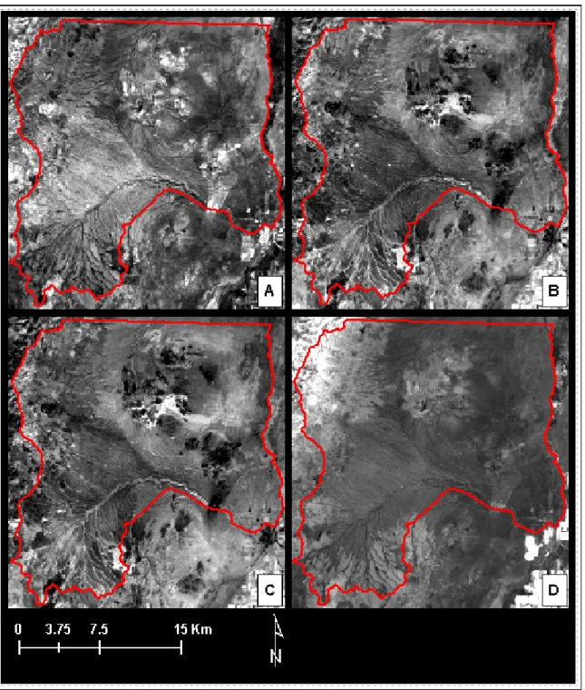 Figure 8.  Normalized difference ratios of Landsat 7 ETM+. A: ratio (3-7)/(3+7); B: ratio  (5-2)/5+2); C: ratio (5-1)/(5+1); D: ratio (4-7)/(4+7)